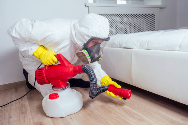 Best Fumigation Services  in Grand Point, LA